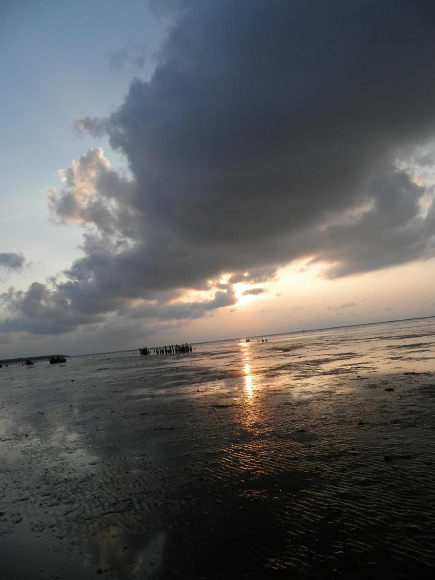 8 Pers House 'Capitein Theis' With Seaside In Front Of The Lauwersmeer Anjum Екстериор снимка